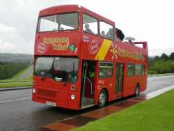 Bus-Tour